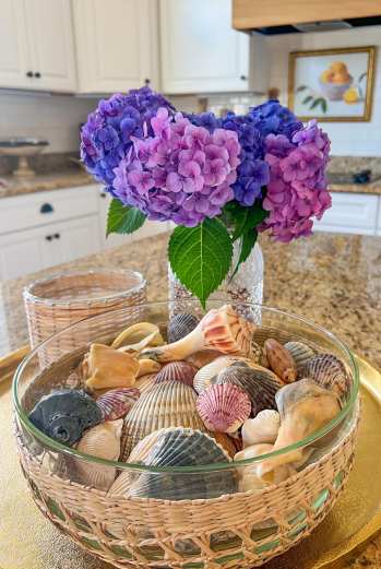 The BEST Beach for Shelling in North Carolina (secret spot!)